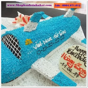 Bánh Sinh Nhật Máy Bay - MA22